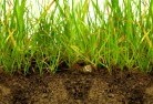 Hawthornesub-soil-drainage-6.jpg; ?>